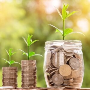 Combien coûte une isolation à la ouate de cellulose au m² ?